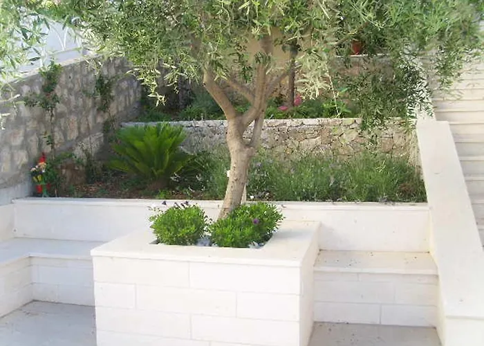 Anamaria Trogir